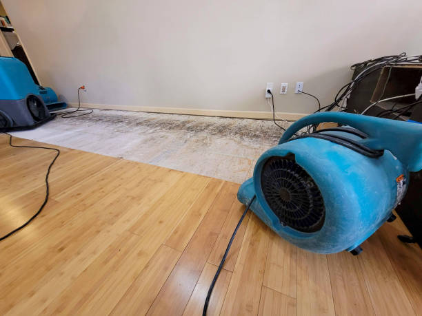 Professional Structural Drying technician working in Cuba, MO